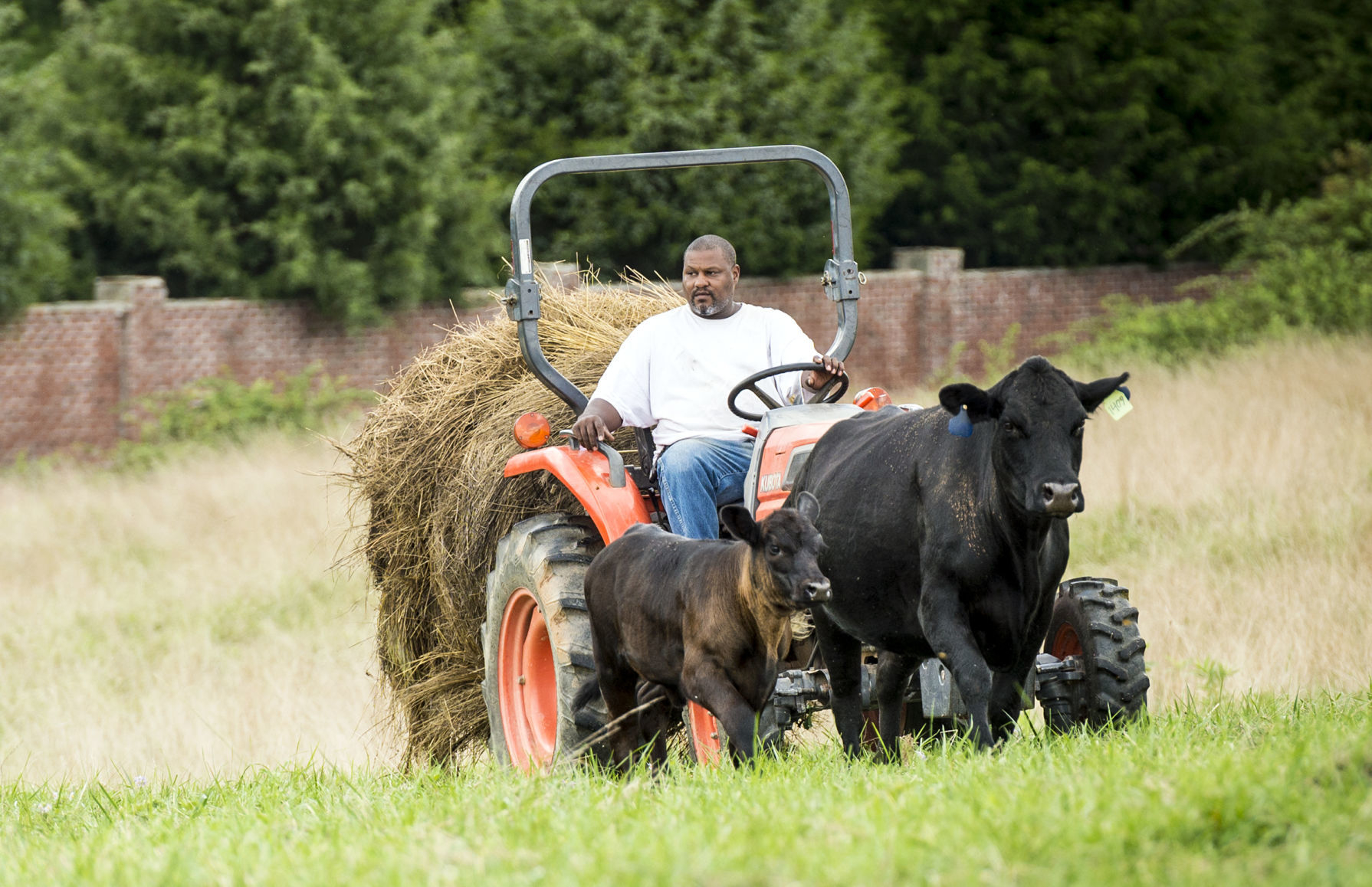 childrensfarm